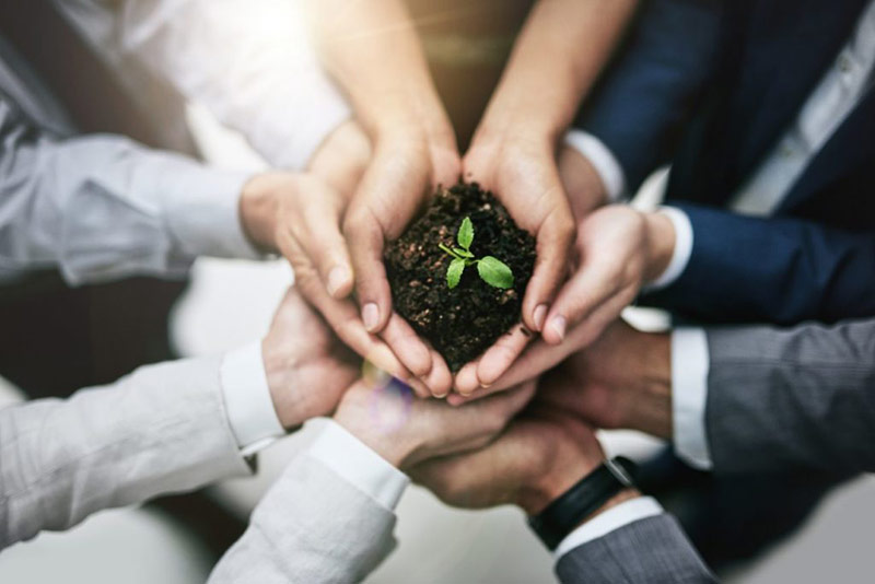Several hands holding together a small plant which indicates a vision